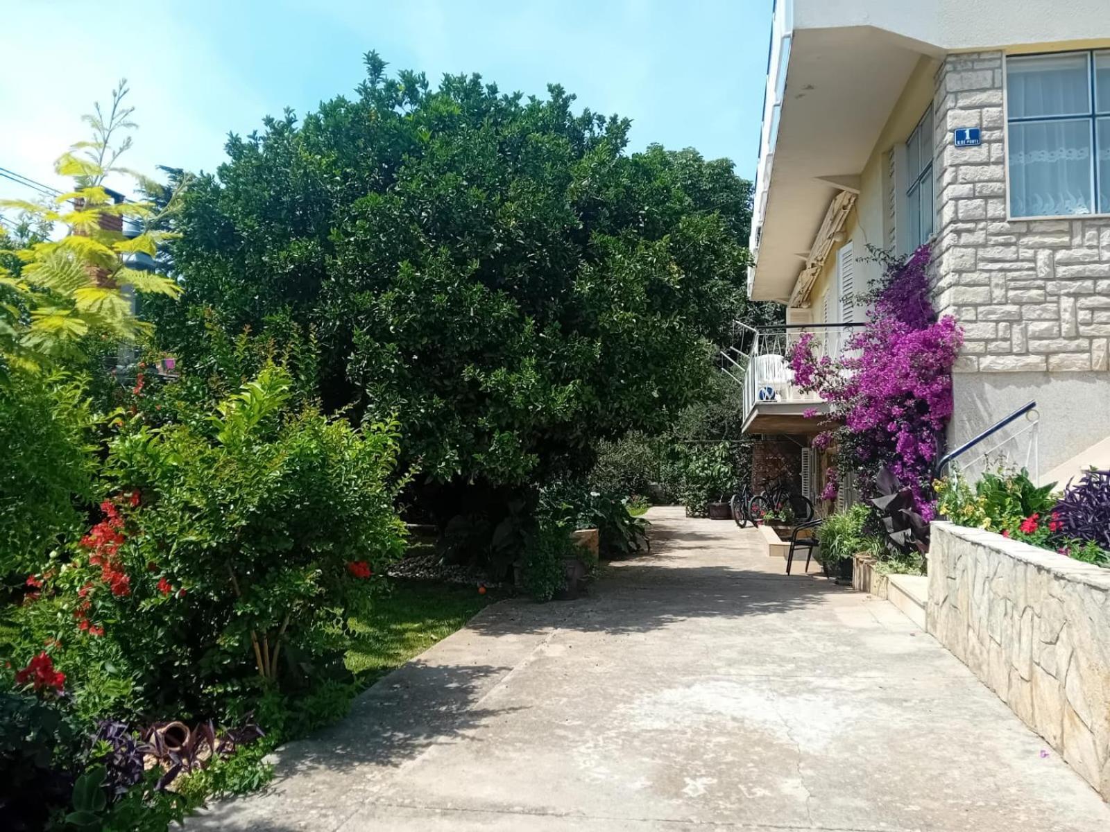 Apartments Angie Zadar Exterior foto